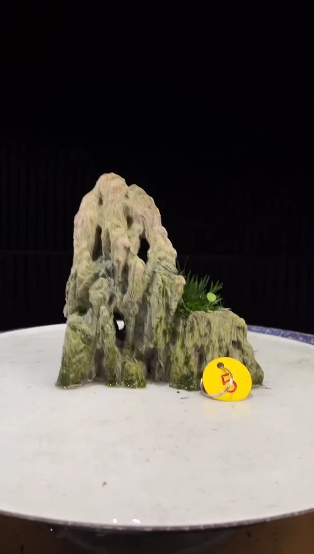 造型吴定石一物一拍专属