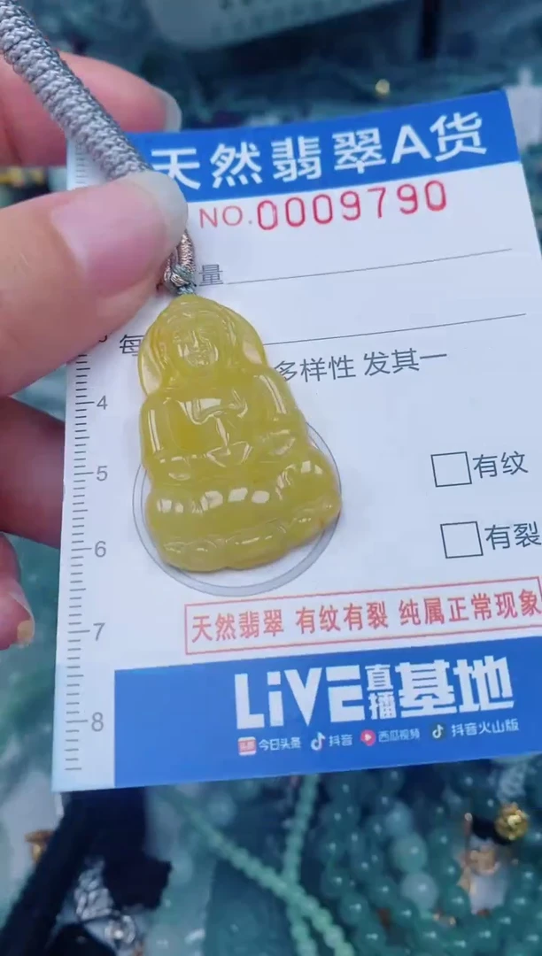 颈饰未镶嵌翡翠00009790