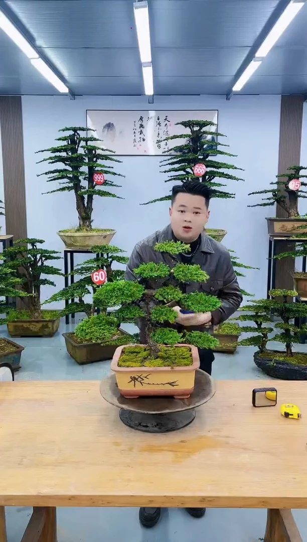 以实际为准00000000