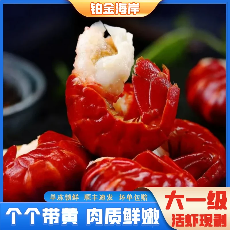 【朵妈】整箱大号头黄龙虾尾新鲜速冻无冰坨120粒/斤3斤装