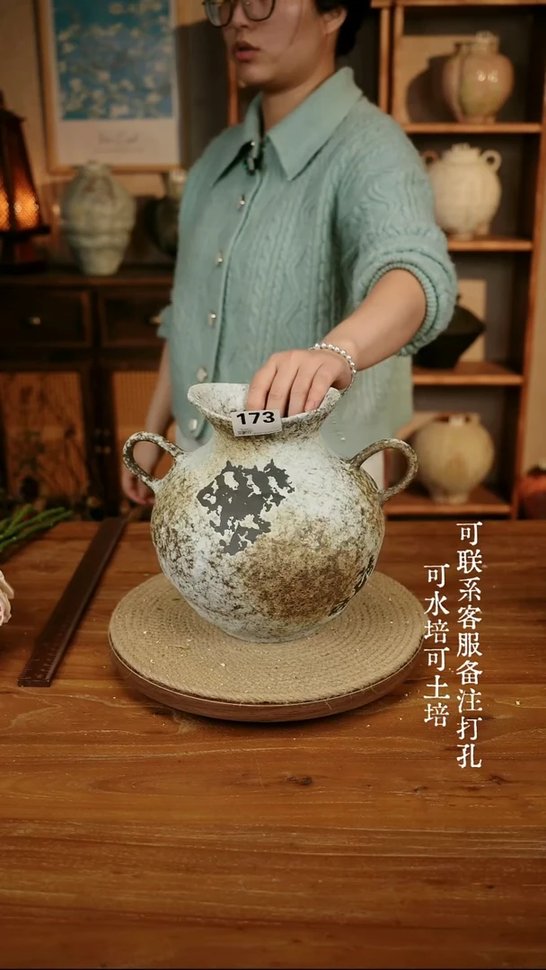 摆件173侘寂风双耳瓶可水培可土培