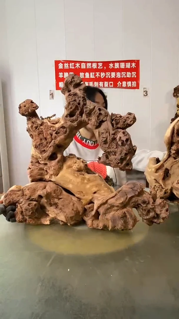 木新****馆金丝红木 羊蹄甲