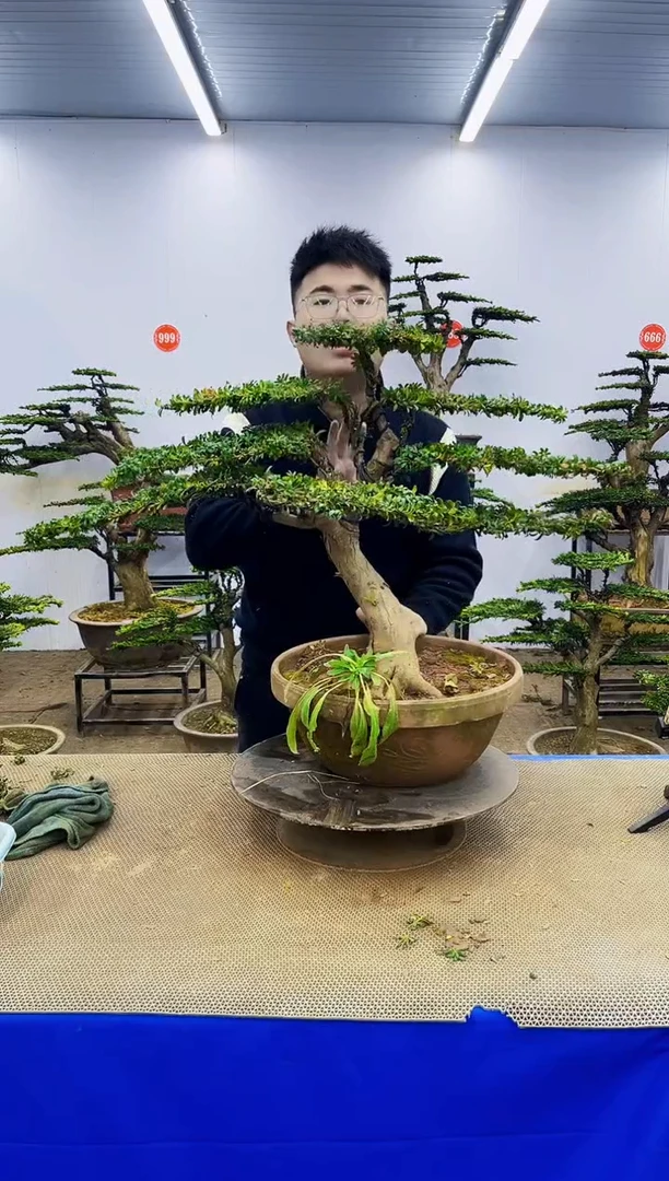 完全开放一物一拍，所见即所得