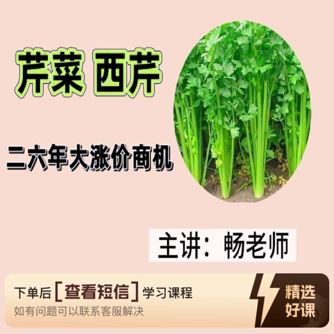 芹菜西芹二六年大涨价商机（留意短信解锁课程）