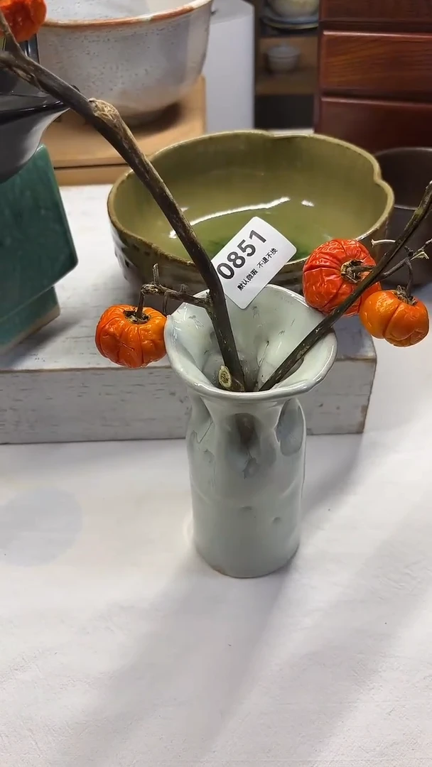 瓷片高****墙喵喵家都是大漂亮