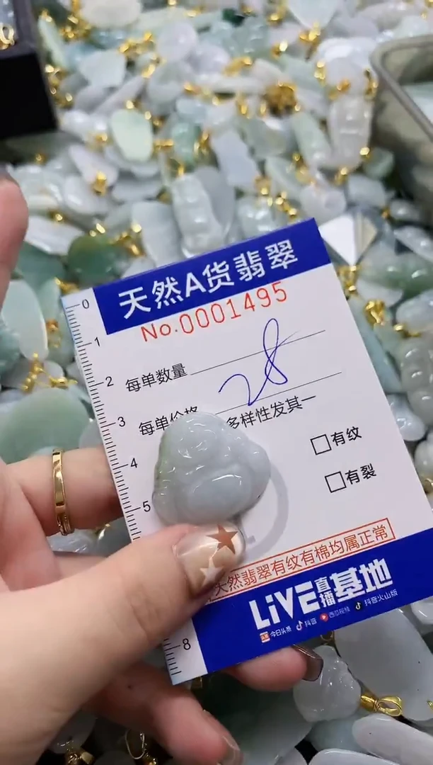 颈饰未镶嵌翡翠天然A货翡翠