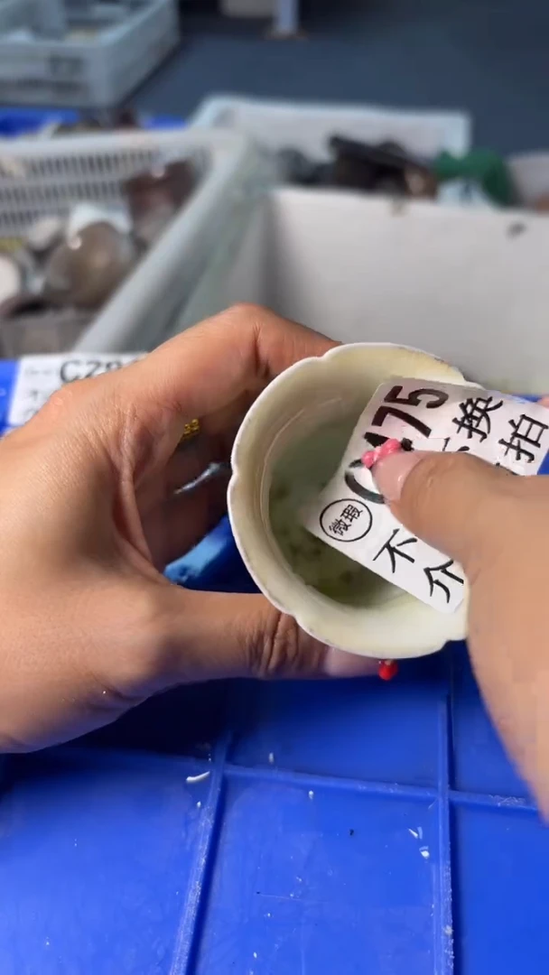 小龙堂不退不换475