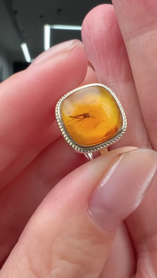 未镶嵌琥珀戒指戒指