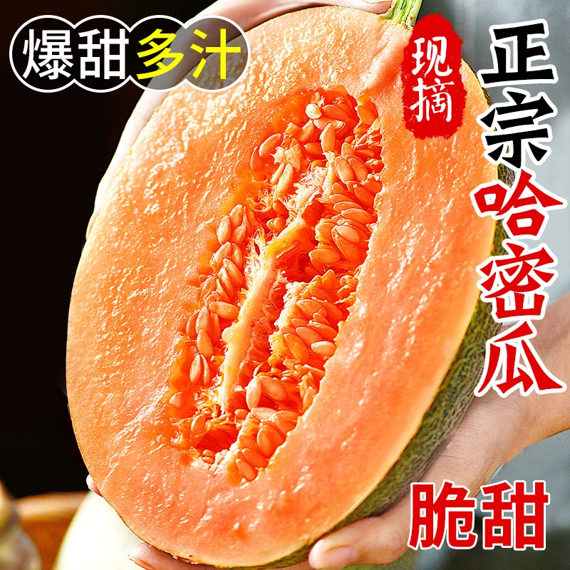 【万人抢】正宗海南沙地哈密瓜自然成熟脆甜可口新鲜采摘产地直发
