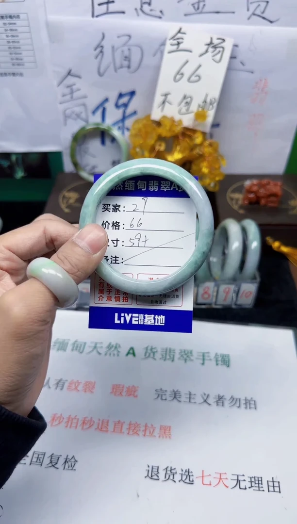未镶嵌手镯翡翠29