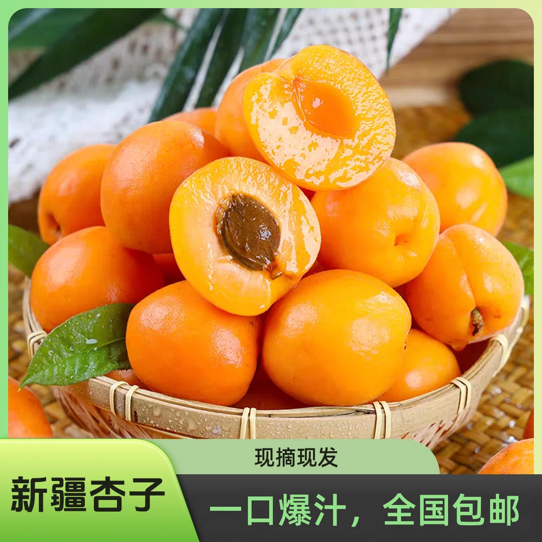新疆托克逊杏子李广杏苏勒坦杏soltan杏现摘现发顺丰空运包邮