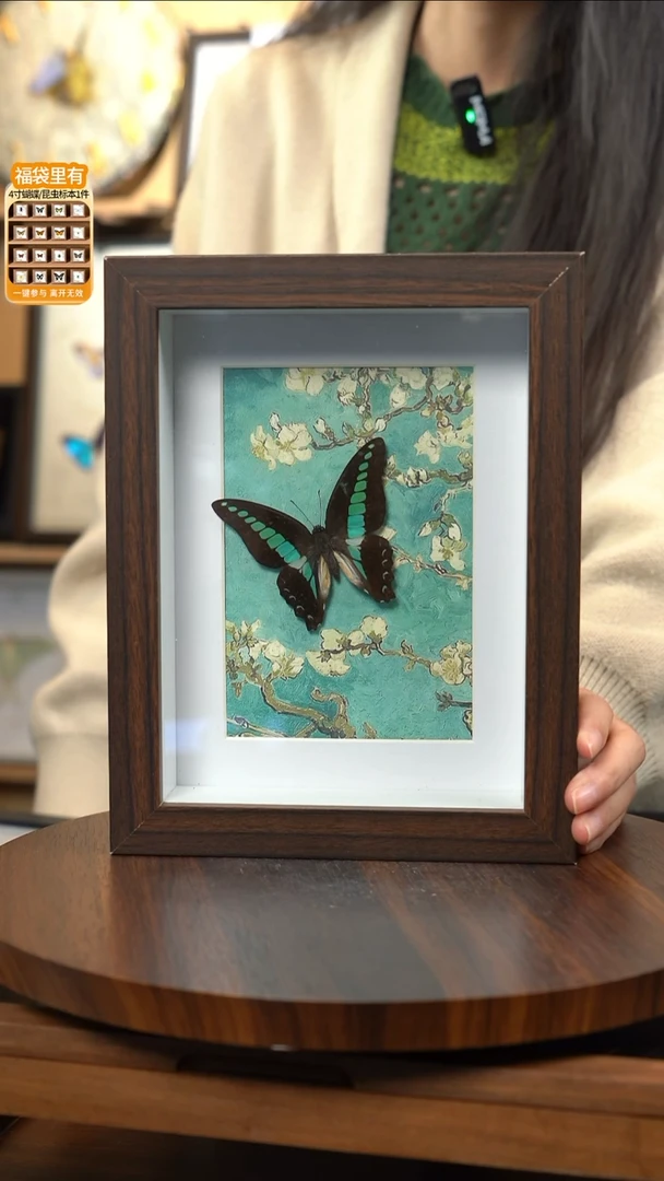 青凤蝶8寸复古框腊梅款