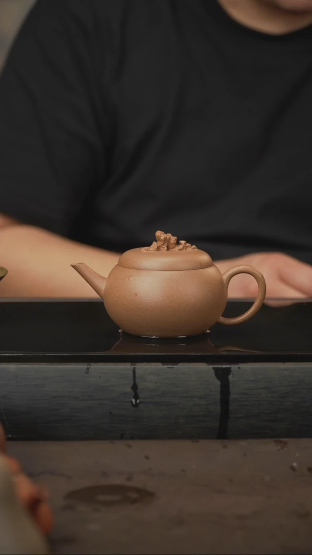 茶壶紫砂03，岩山，段泥，150cc