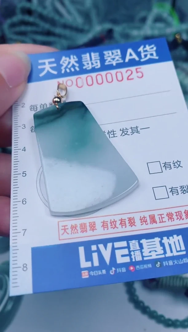 颈饰未镶嵌翡翠00000025