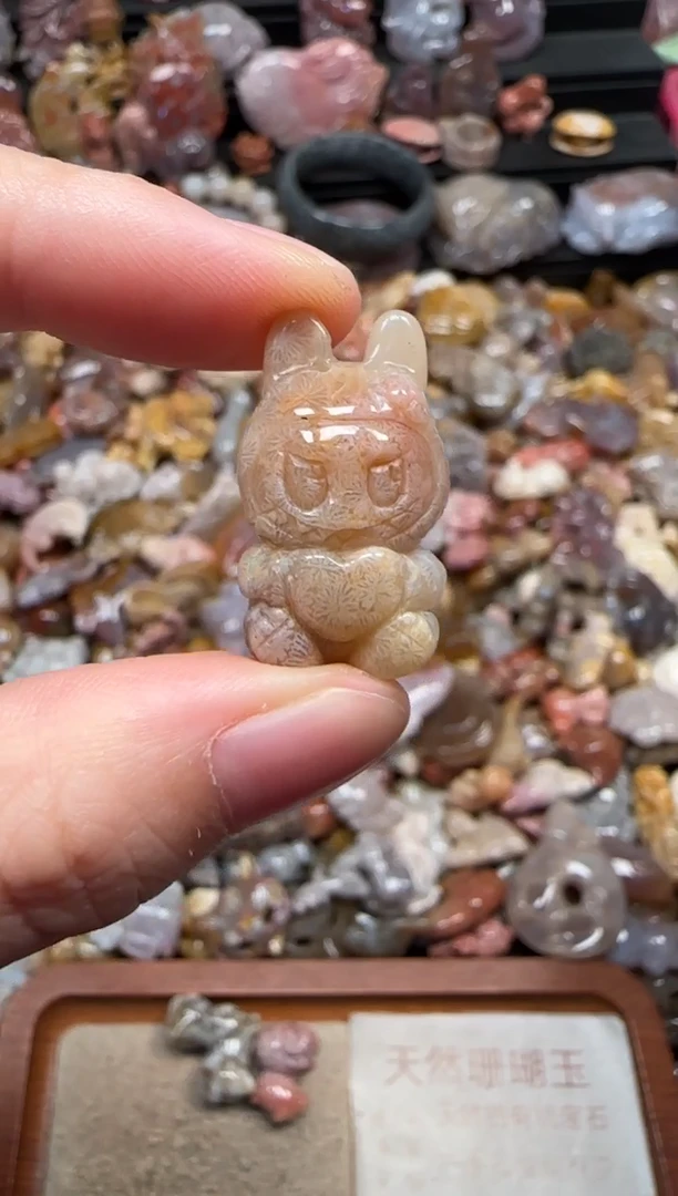 颈饰未镶嵌硅化珊瑚（珊瑚玉）848