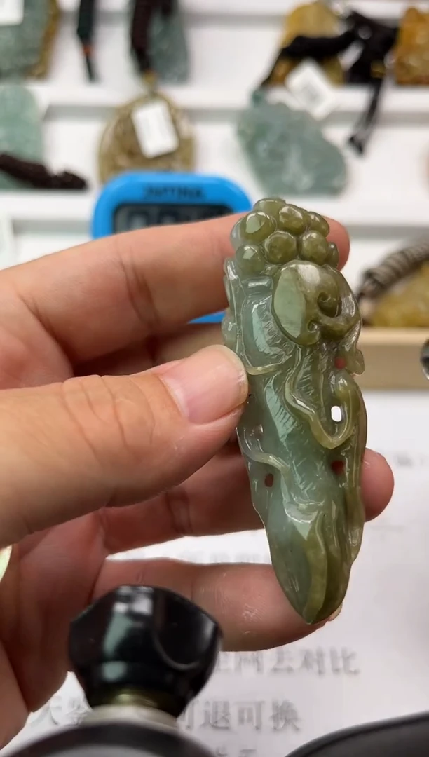 翡翠未镶嵌颈饰鸡