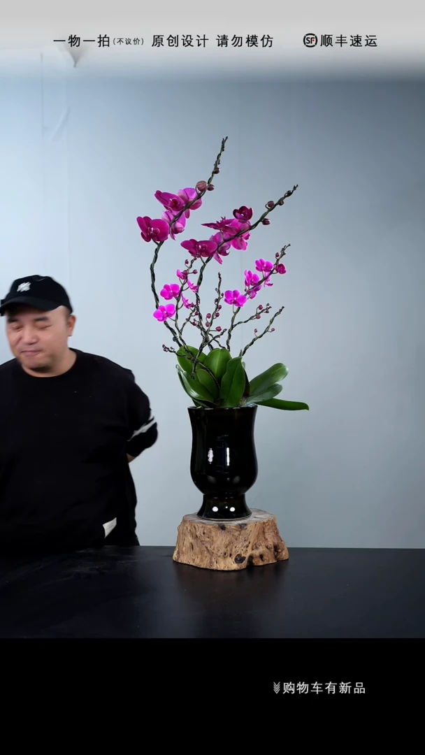 【闪购商品】061号链接【一物一拍】艺术盆景