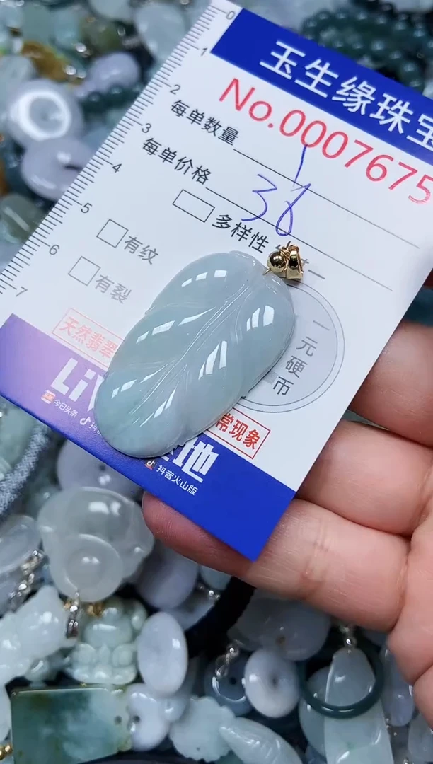 【闪购商品】翡翠颈饰未镶嵌闪购00007675