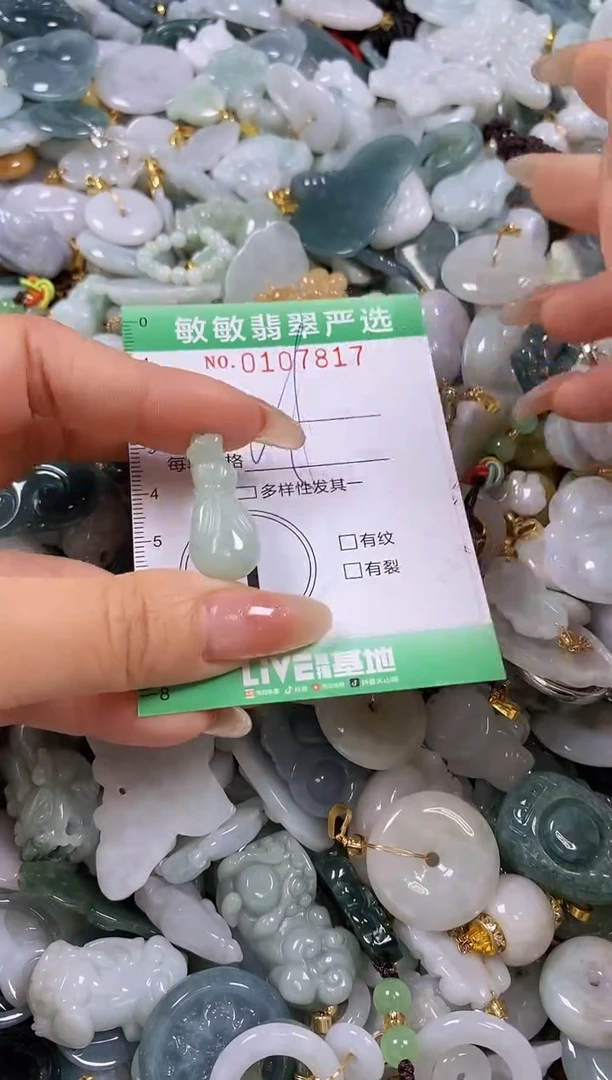【闪购商品】翡翠颈饰未镶嵌闪购0107817