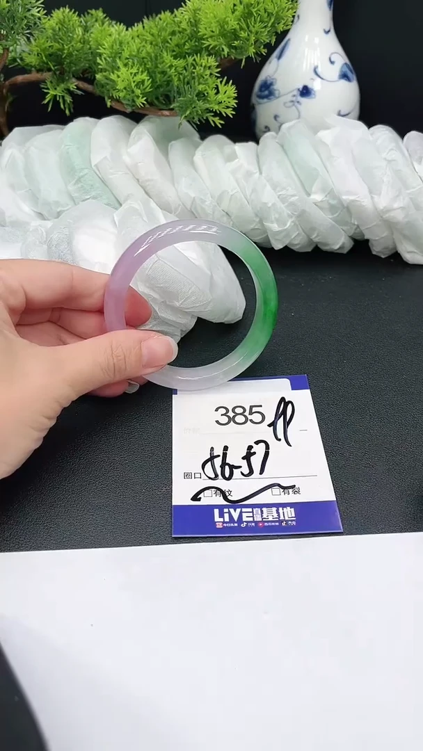 未镶嵌手镯翡翠385