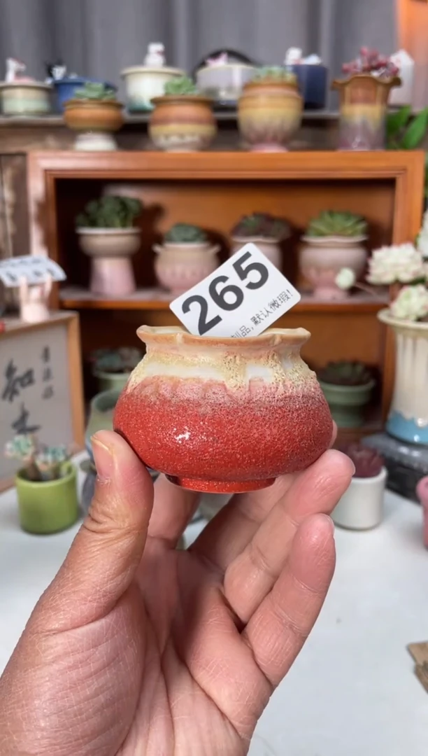 瓷片265小芳直播编号