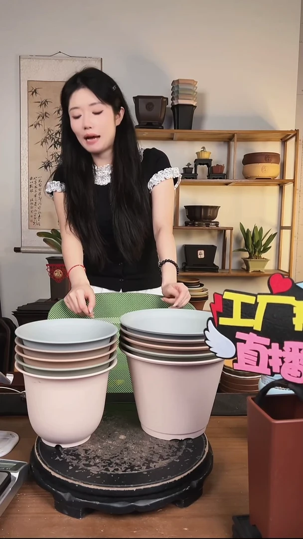 5只18口径金钟马卡龙色系