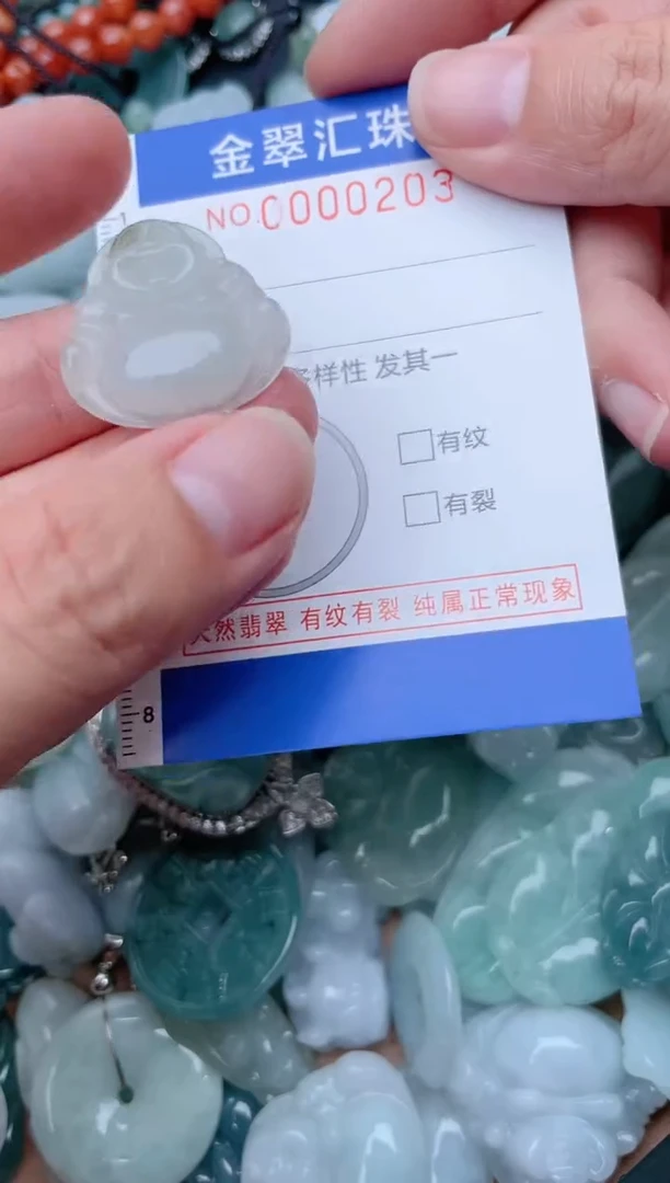翡翠未镶嵌颈饰203.....