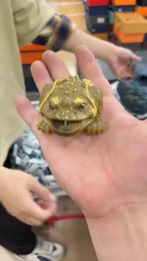 岩传茶具 岩传茶具@G-