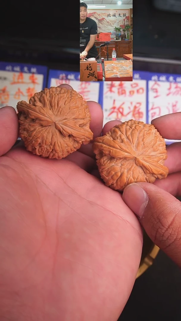 文玩核桃把件23号 -46闷白 全品【收藏】