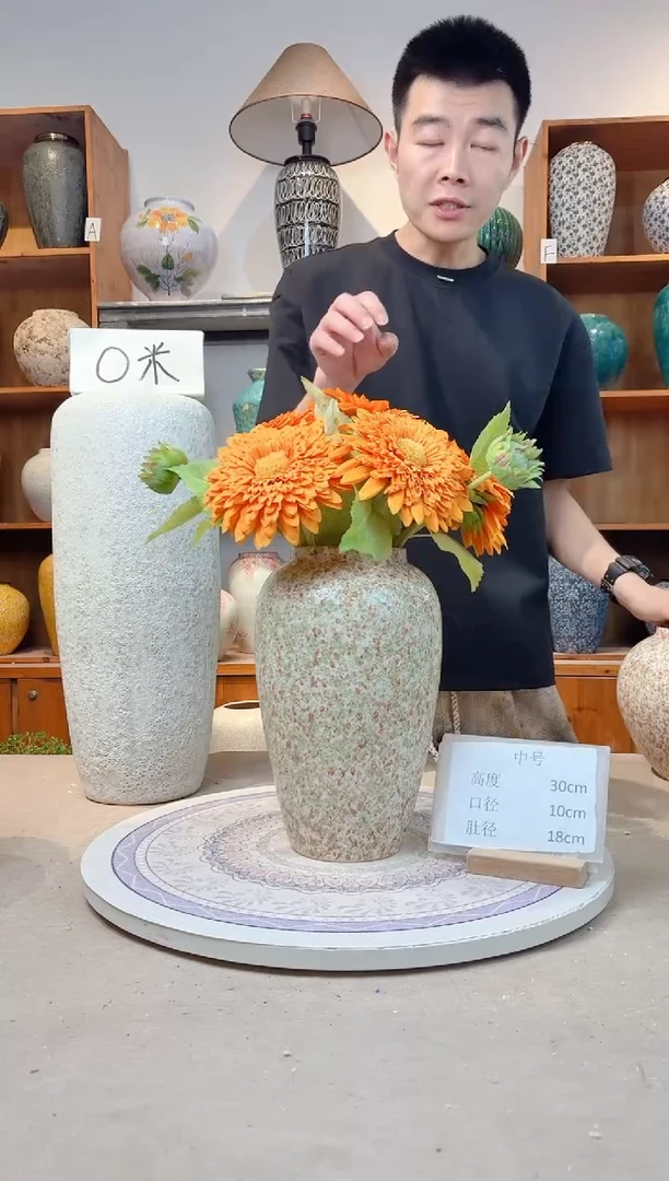 瓶陶瓷花瓶   绿野仙踪 中号 正品 无花