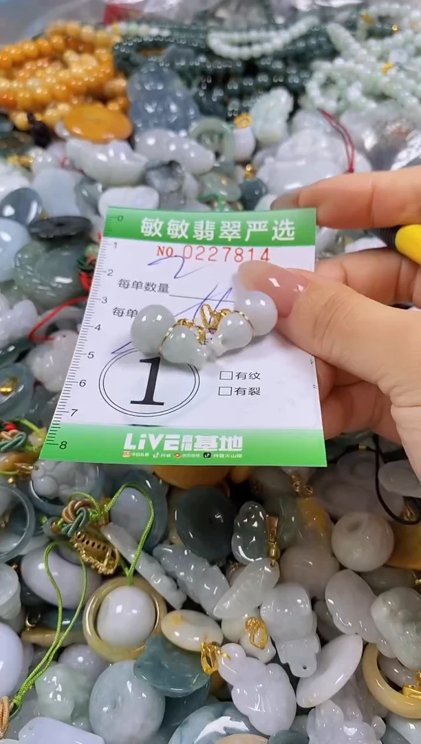 翡翠未镶嵌颈饰闪购0227814多样性发其一