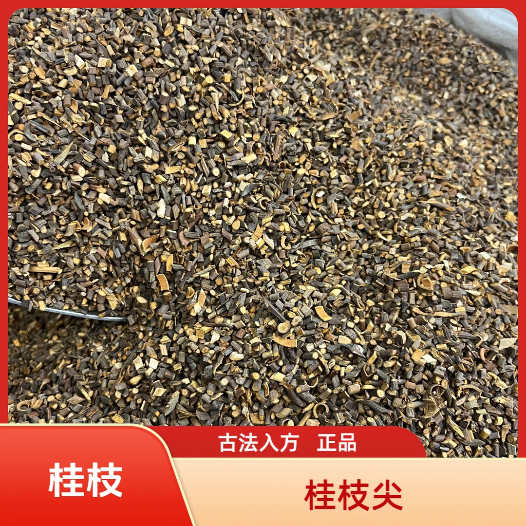 桂枝 桂枝尖精选正宗广西新货 搭配大枣 桂枝汤