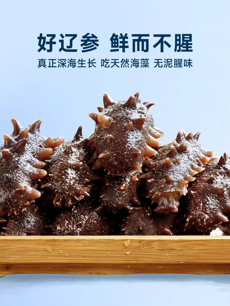 一斤礼盒装大连即食海参袋装免泡发海鲜食材