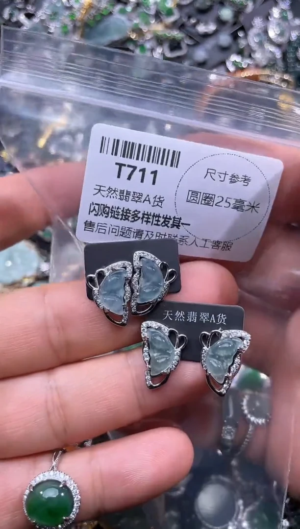 【闪购商品】翡翠颈饰未镶嵌T711耳钉 多样性发其一
