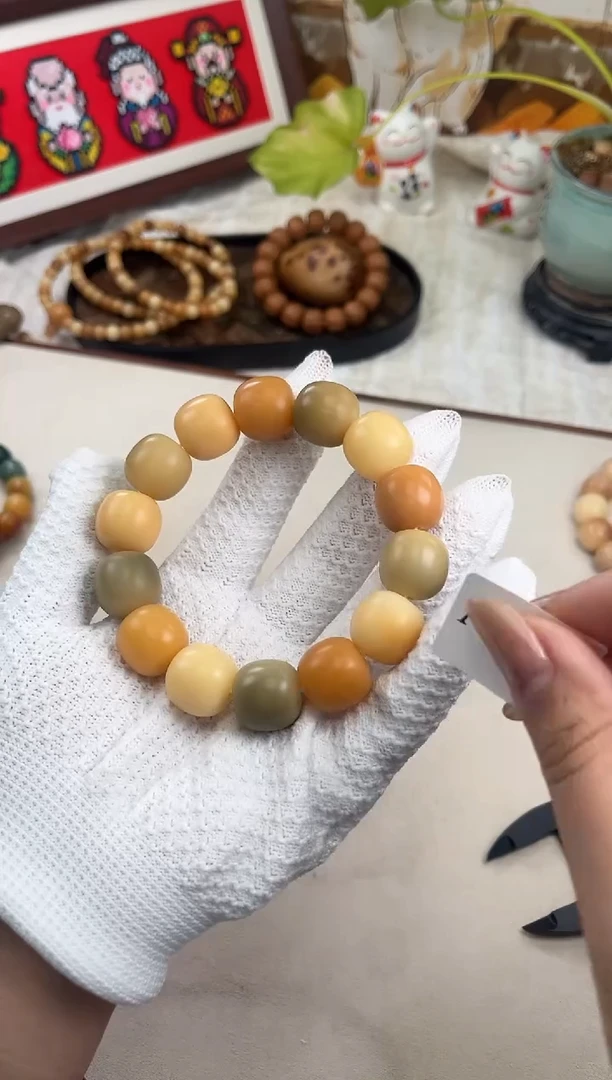 手串菩提根/象牙果a438 卡18 干磨瑕疵落地果