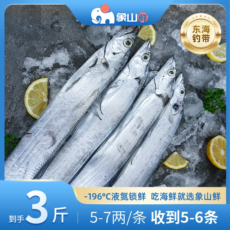 象山鲜钓带5-7两/条正宗东海小眼睛海钓带鱼象山发货锁鲜3斤产地