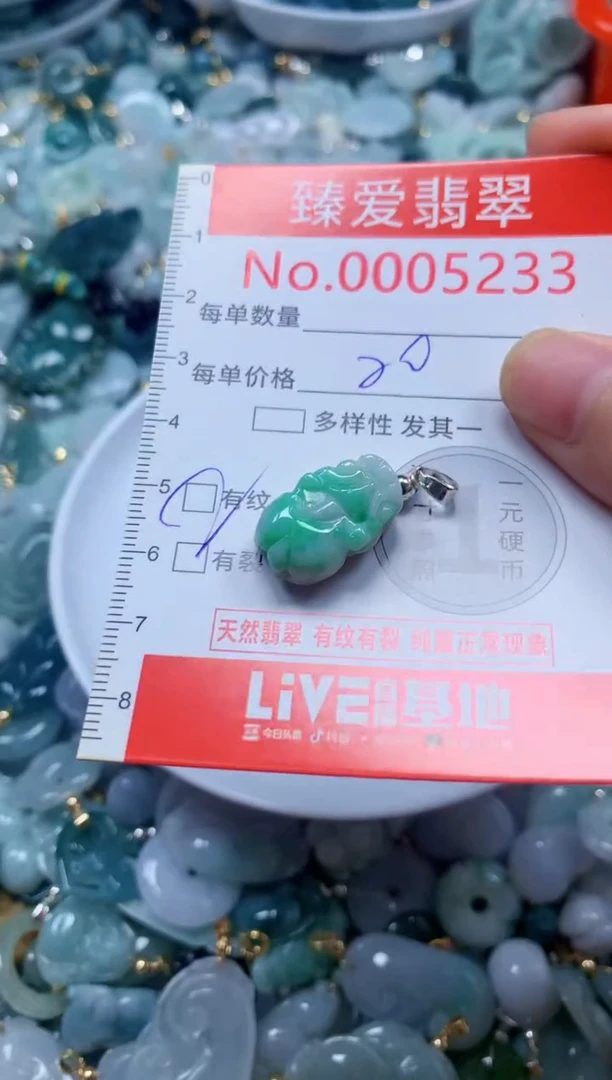 翡翠未镶嵌吊坠(不含链)5233