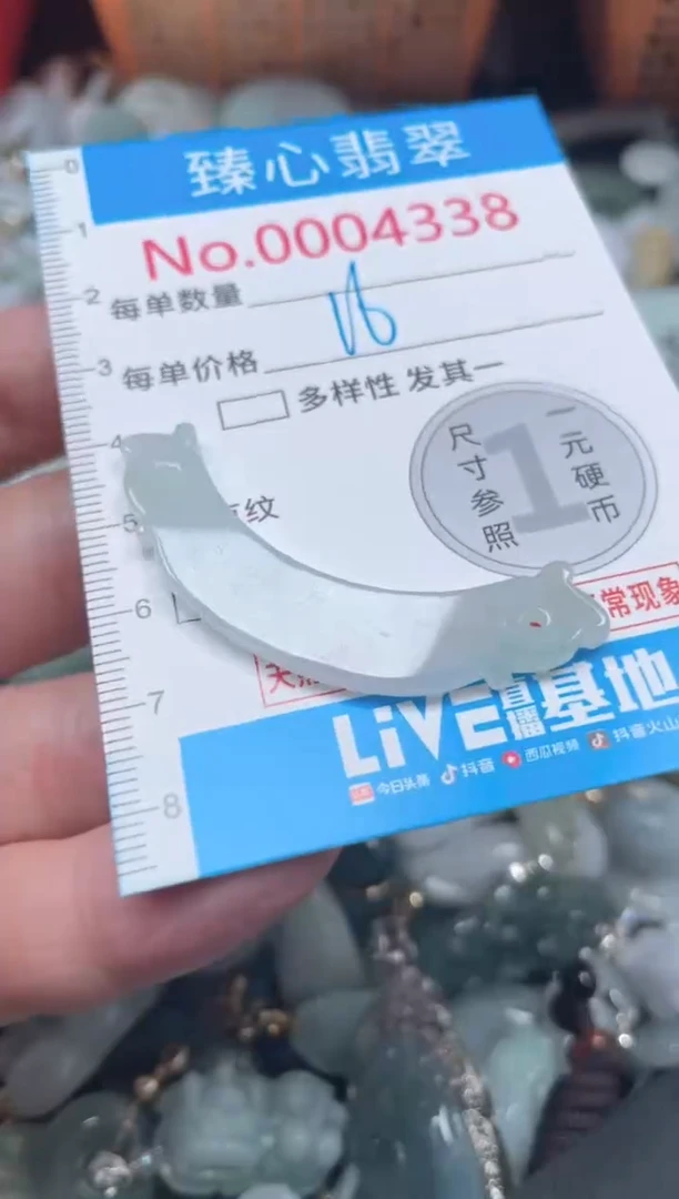 颈饰未镶嵌翡翠4338