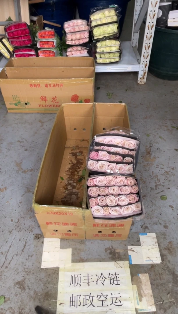 曼塔40枝