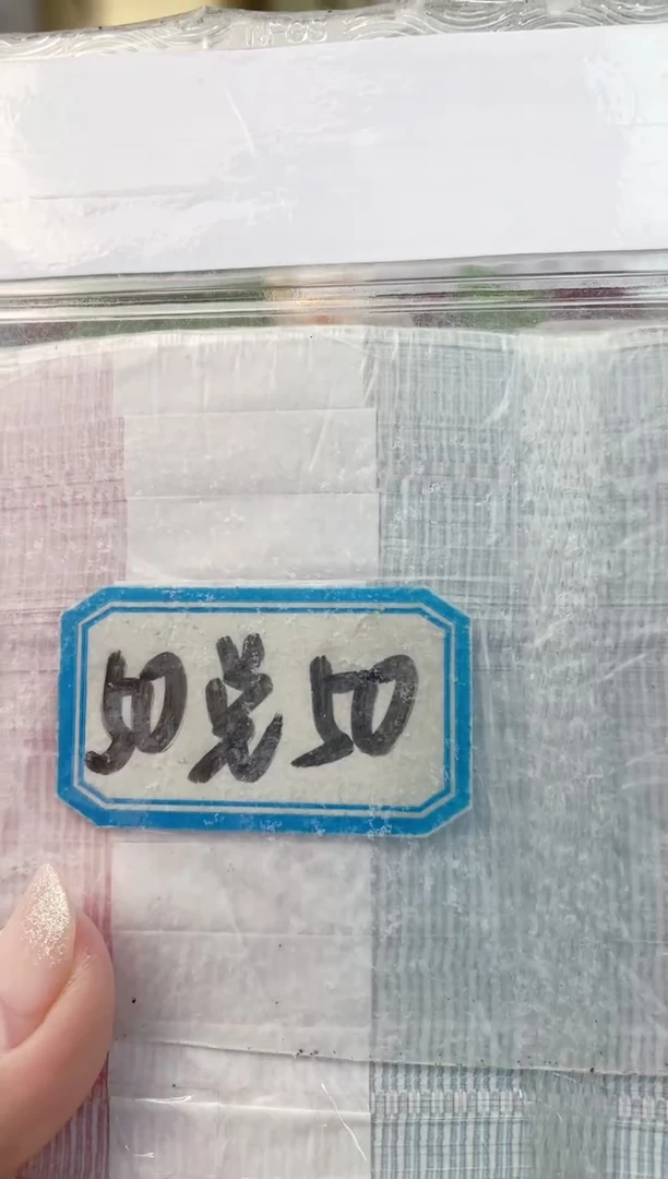 【3胞胎对张】01稀缺三同号胞胎组合