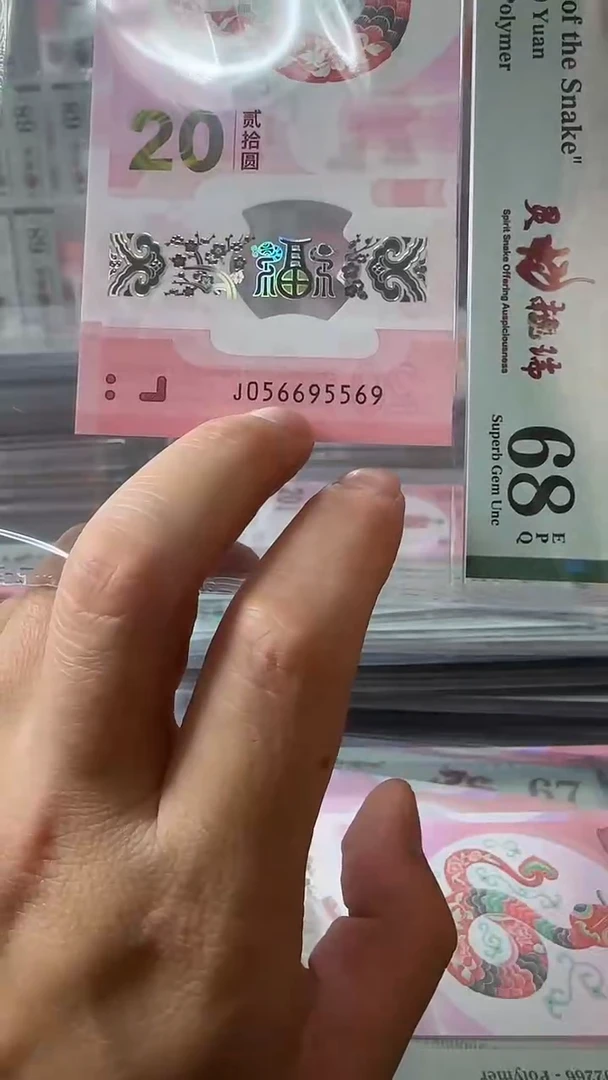塑料056695569蛇钞单张