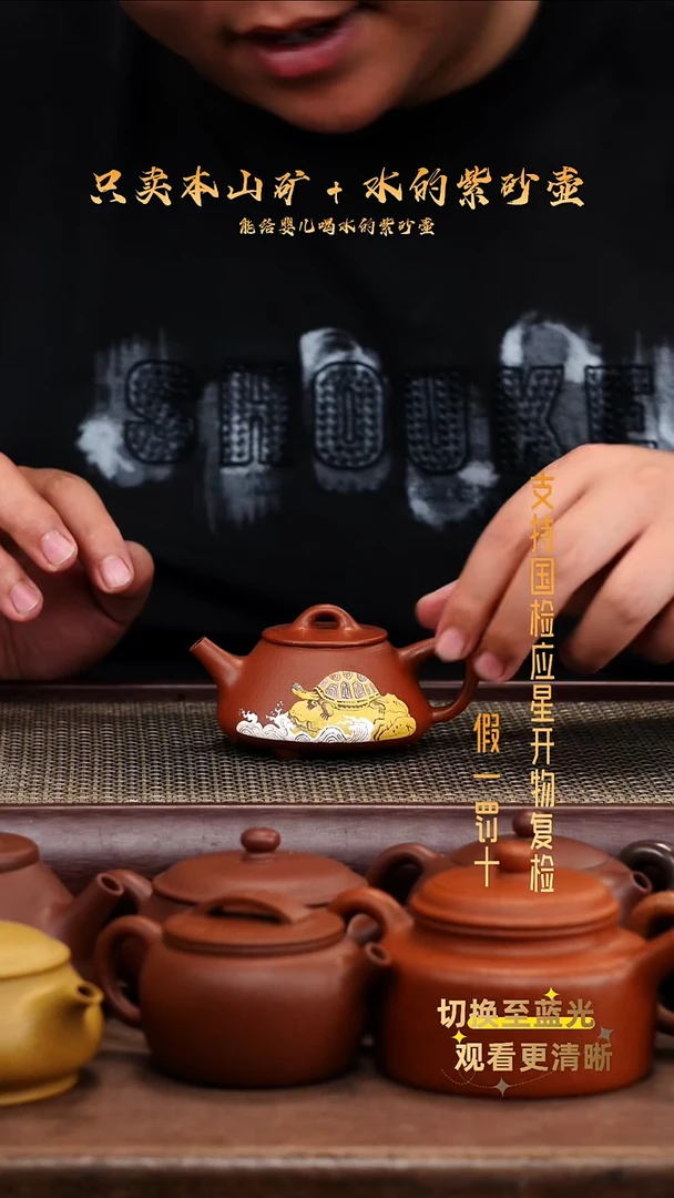 茶壶紫砂全手龙山朱泥 刻绘 小石瓢