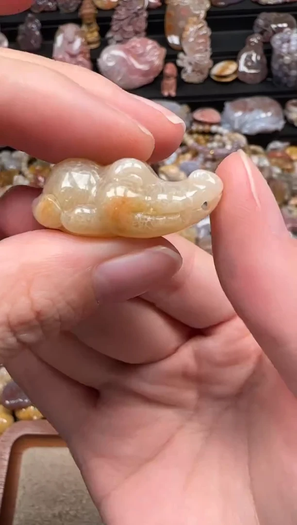 颈饰未镶嵌硅化珊瑚（珊瑚玉）622