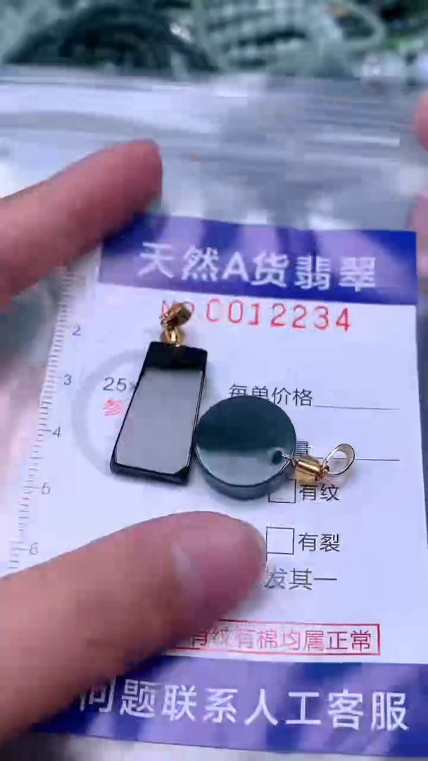 吊坠(赠链)未镶嵌翡翠1