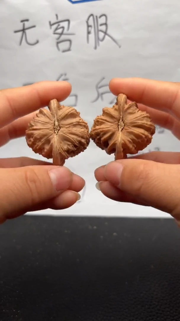 把件文玩核桃51白狮子