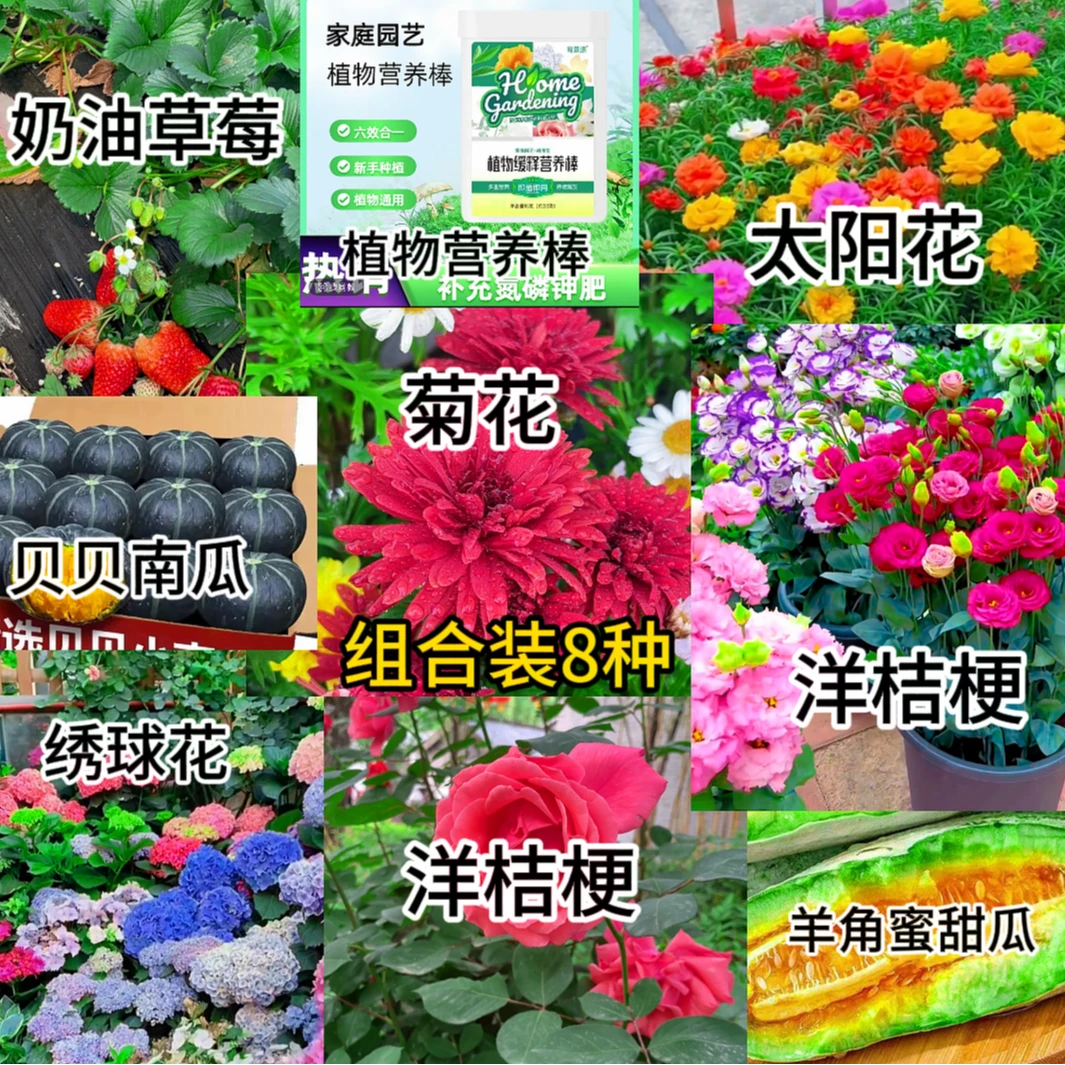 8种花卉种子组合装月季花绣球花太阳花洋桔梗羊角蜜甜瓜阳台花盆