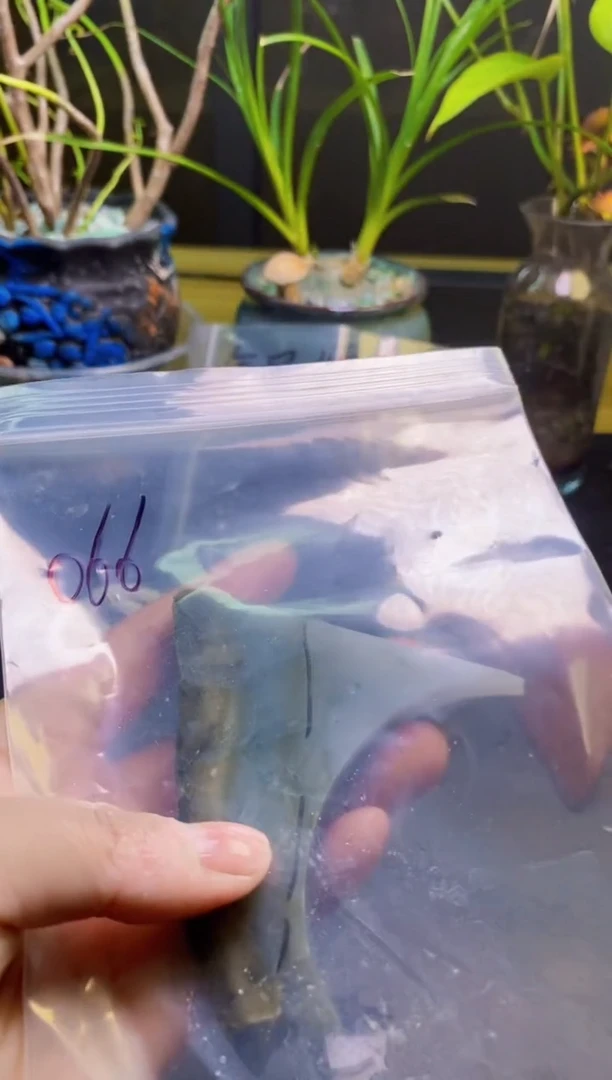 翡翠未镶嵌颈饰天然翡翠066
