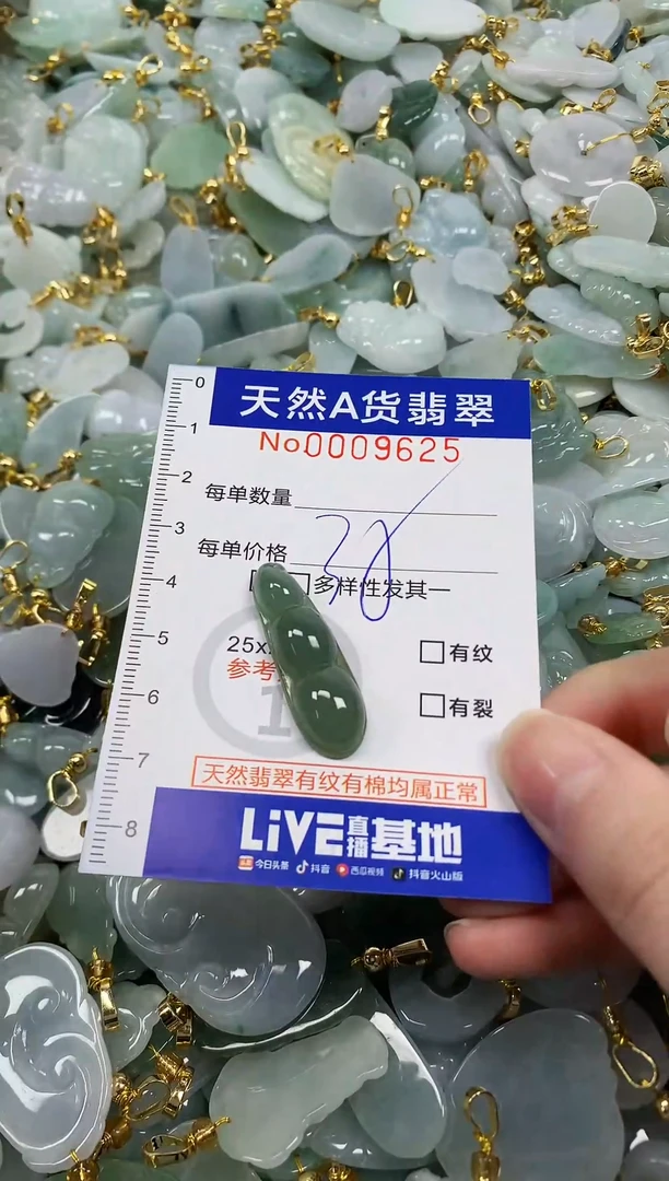颈饰未镶嵌翡翠纯天然a货翡翠