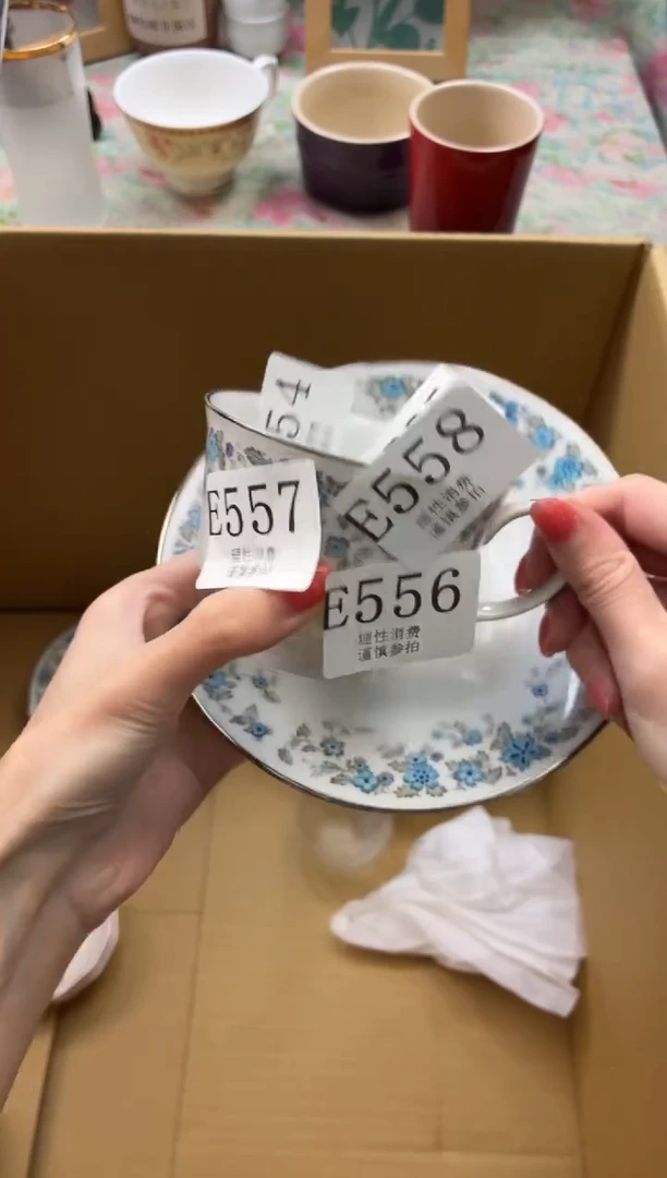 瓷片       E558