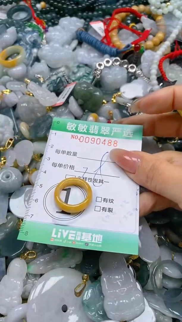 【闪购商品】翡翠颈饰未镶嵌闪购0090488